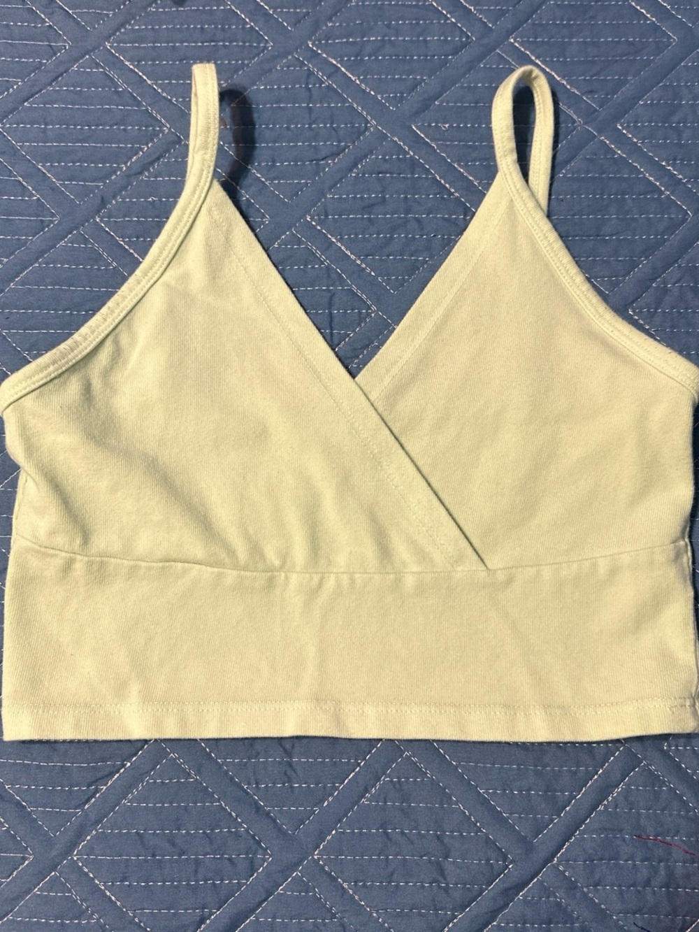 brandy melville pastel green crop top